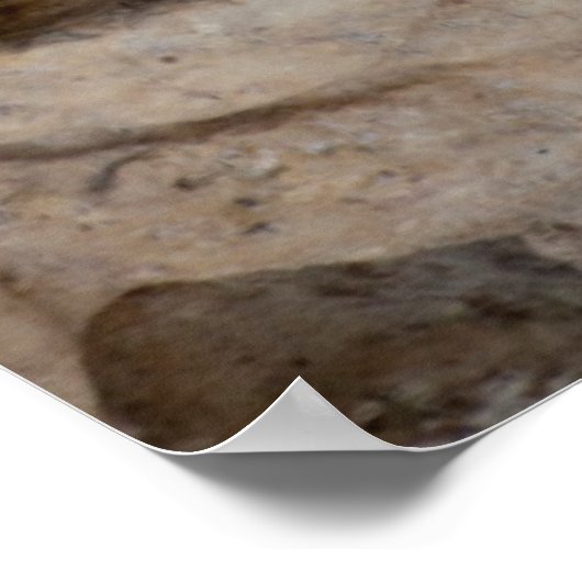 Alter Star von David Carving, Israel Poster (Ecke)