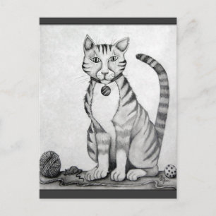 Alter Tiger TomKater Postkarte