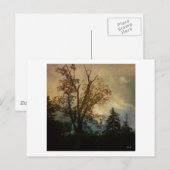 Alter Tree Postkarte (Vorne/Hinten)