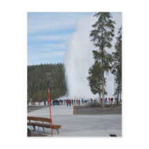 Alter treuer Geyser im Yellowstone Park