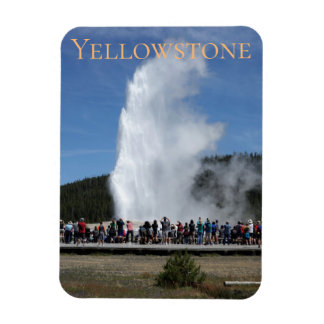 Alter treuer Yellowstone Nationalpark Wyoming Magnet