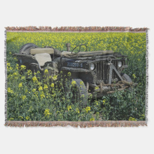 Alter Willys MB Jeep Decke