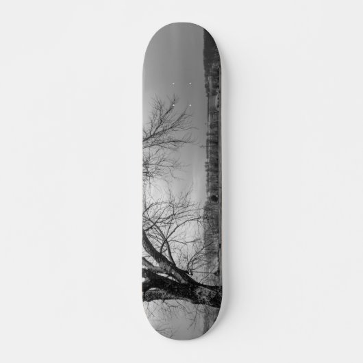 Alter Winterbaum Graustufen Skateboard (Vorne)