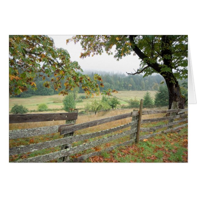 Alter Zaun auf einem Bauernhof (Vorderseite (Horizontal))