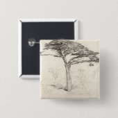 Alter Zedern-Baum im botanischen Garten, Chelsea, Button (Vorne & Hinten)