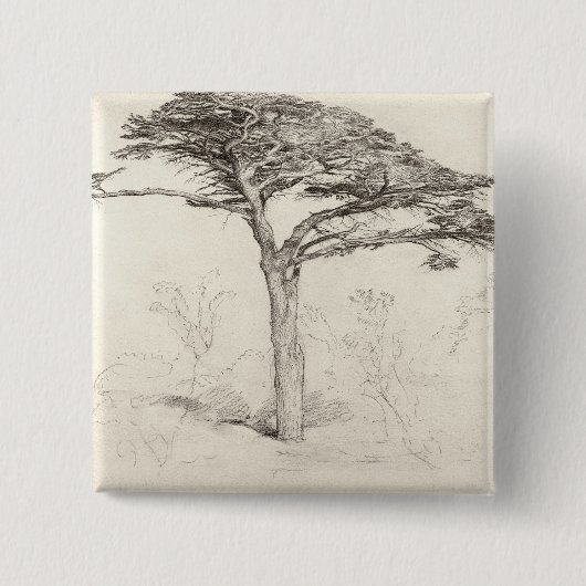 Alter Zedern-Baum im botanischen Garten, Chelsea, Button (Vorderseite)