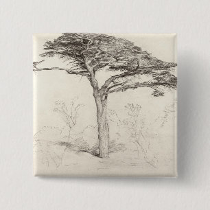 Alter Zedern-Baum im botanischen Garten, Chelsea, Button
