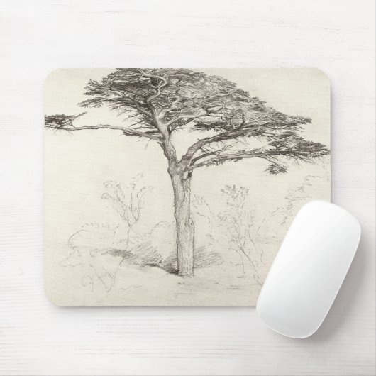 Alter Zedern-Baum im botanischen Garten, Chelsea, Mousepad (Mit Mouse)