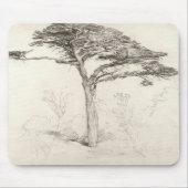 Alter Zedern-Baum im botanischen Garten, Chelsea, Mousepad (Vorne)