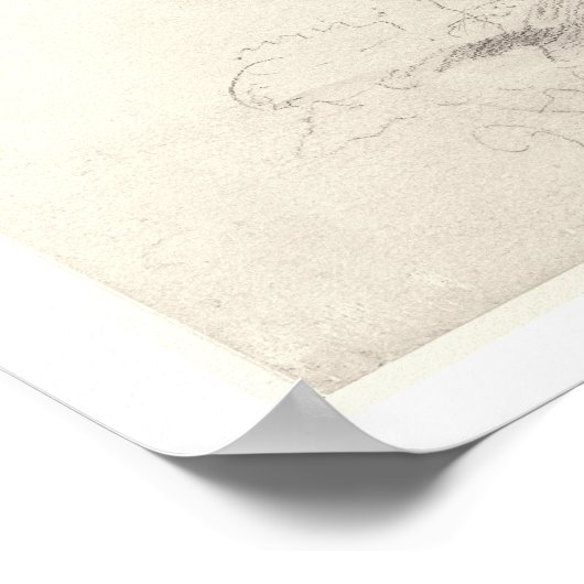 Alter Zedernbaum im botanischen Garten, Chelsea, 1 Poster (Ecke)