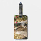 Alter Ziegen-Verein-Umbau Gepäckanhänger (Rückseite vertikal)