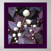 Alteranatha Poster (Vorne)