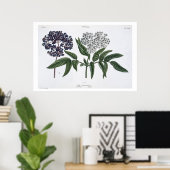 Ältere, Abb. 13 von "The Young Landsman", herausge Poster (Heimbüro)