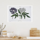 Ältere, Abb. 13 von "The Young Landsman", herausge Poster (Küche)