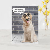 Ältere Geburtstage Golden Retriever Karte (Gelbe Blume)