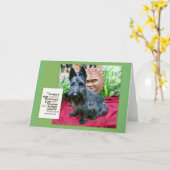 Ältere Karte wachsen (Gelbe Blume)