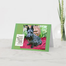 Ältere Karte wachsen