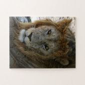 Ältere Lion Wild Animal Puzzle (Horizontal)