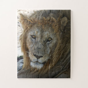 Ältere Lion Wild Animal Puzzle