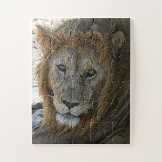 Ältere Lion Wild Animal Puzzle (Vertikal)