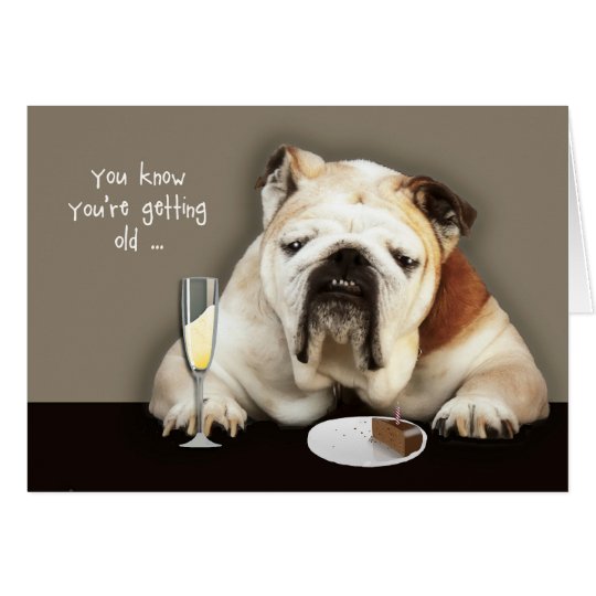 ältere, lustige Geburtstagskarte, Hund erhalten Grußkarte Zazzle