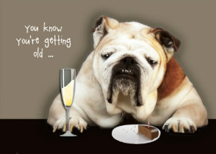 Lustig Hund Geburtstag Geschenke Zazzle De