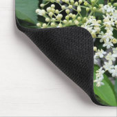 Ältere Mousepad (Ecke)