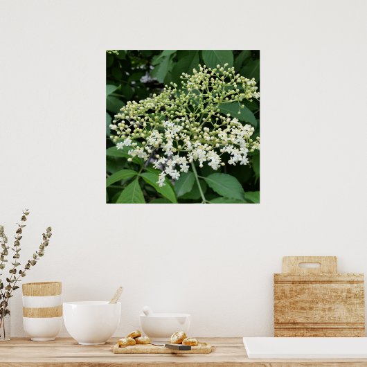 Ältere Poster (Küche)