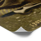 Ältere Spinner Poster (Ecke)