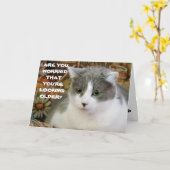 Ältere werden? Sie sehen keinen Tag über 100 aus Karte (Gelbe Blume)