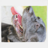 Älterer Labrador Fleecedecke (Vorderseite (Horizontal))
