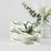 Alternative Arzneimittel Postkarte (Stehend Vorderseite)