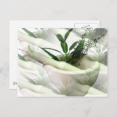 Alternative Arzneimittel Postkarte (Vorne/Hinten)