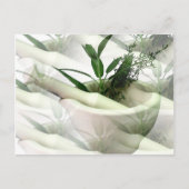 Alternative Arzneimittel Postkarte (Vorderseite)