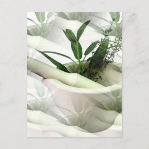 Alternative Arzneimittel Postkarte