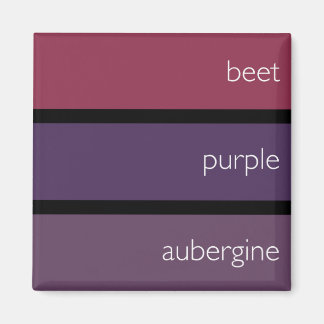 Alternativmagnet: Farb-Armbanduhren Magnet