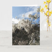 Alters Bart Karte (Gelbe Blume)