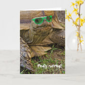 Altertum Schildkröte mit grüner Sonnenbrille Karte (Gelbe Blume)