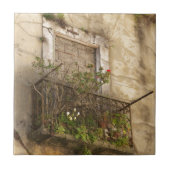 Altes Abandred House Fliese (Vorderseite)