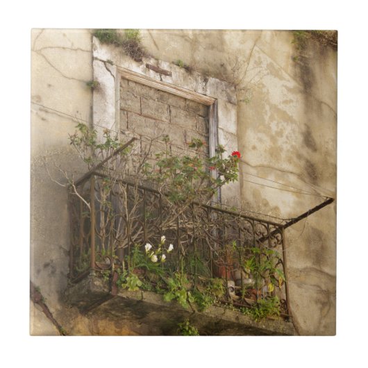 Altes Abandred House Fliese (Vorderseite)