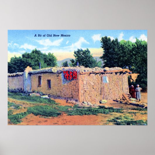 Altes Adobe Haus New Mexico Poster (Vorne)