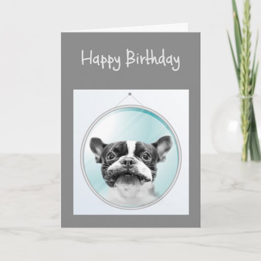 Altes Alter Geburtstag Spaß Französischer Bulldog Karte (Vorderseite)