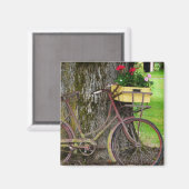 Altes antikes Fahrrad mit Blume Basket Magnet (Vorderseite/Rückseite)