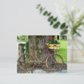 Altes antikes Fahrrad mit Blume Basket Postkarte (Stehend Vorderseite)