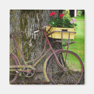 Altes antikes Fahrrad mit Blumen-Korb Magnet