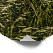 Altes Auto im großen Gras abgehängt Poster (Ecke)