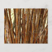 Altes Bambuspapier (Vorderseite)