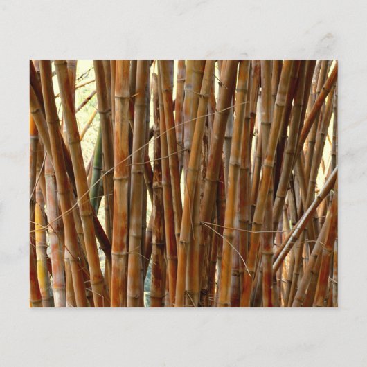 Altes Bambuspapier (Vorderseite)