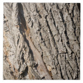 Altes Baumuster Fliese (Vorderseite)