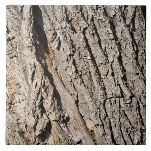 Altes Baumuster Fliese (Vorderseite)